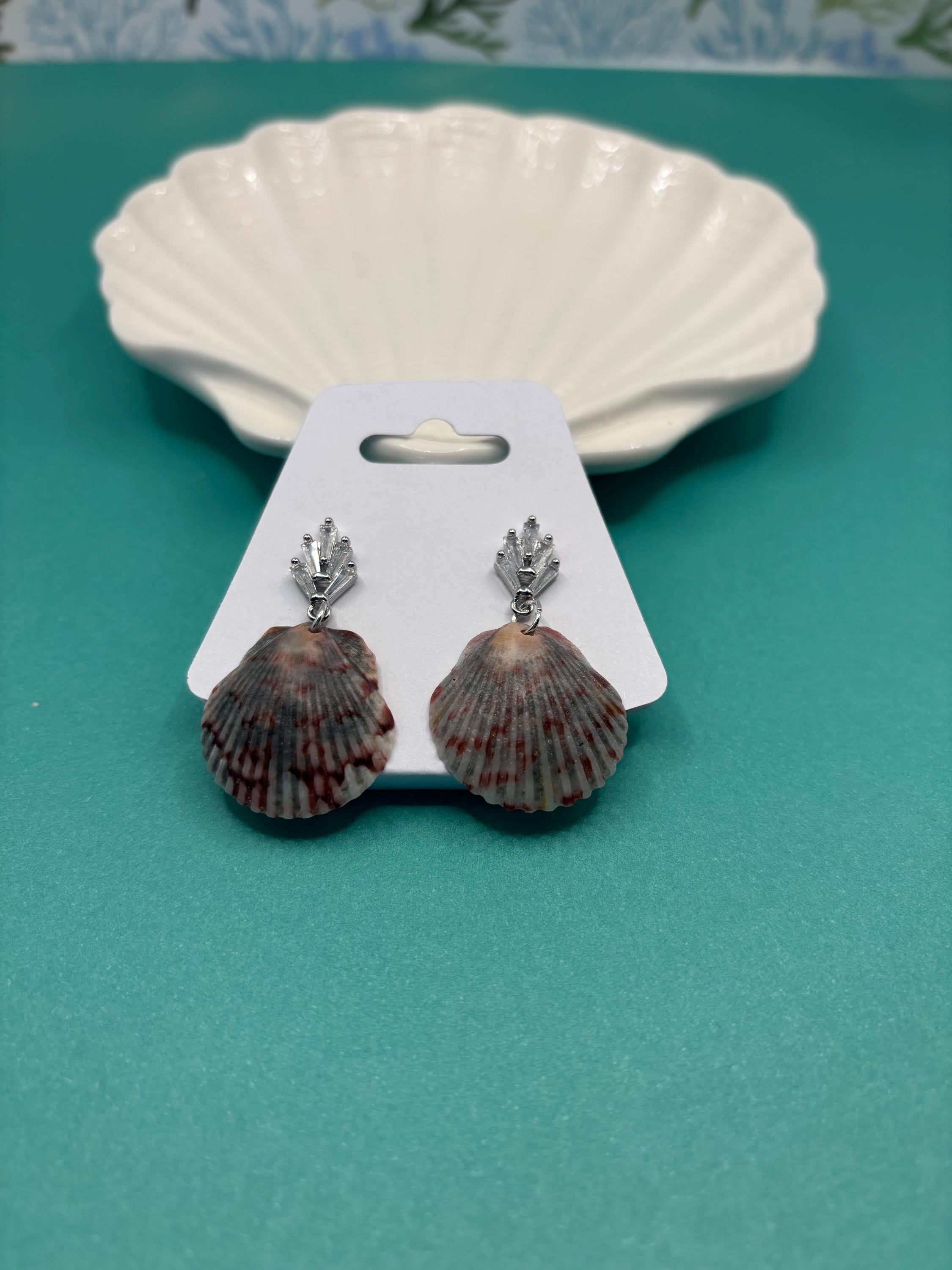 Dark Grey Florida Seashell Earring