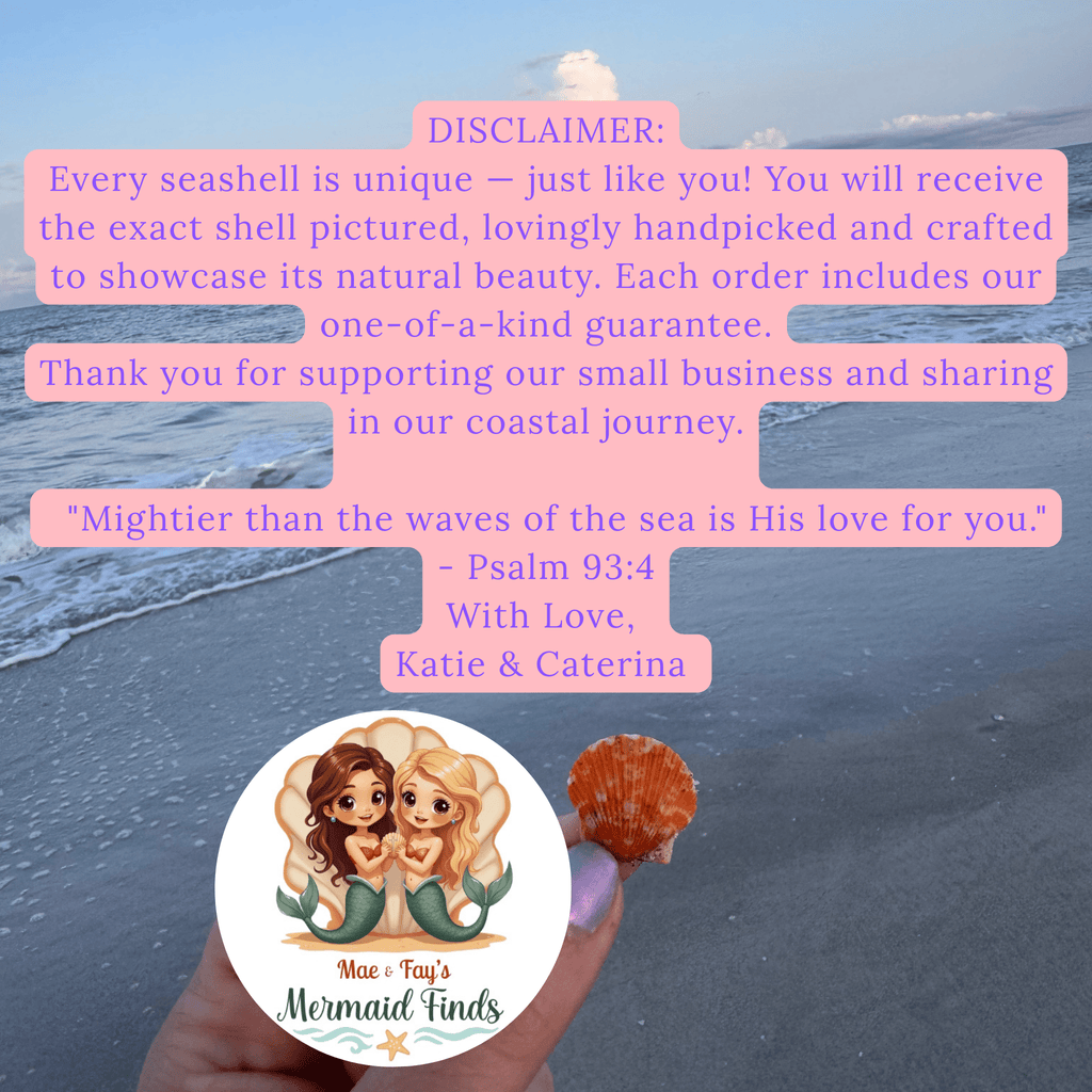 mfmermaidfinds maeandfay seashelljewlery local handmade